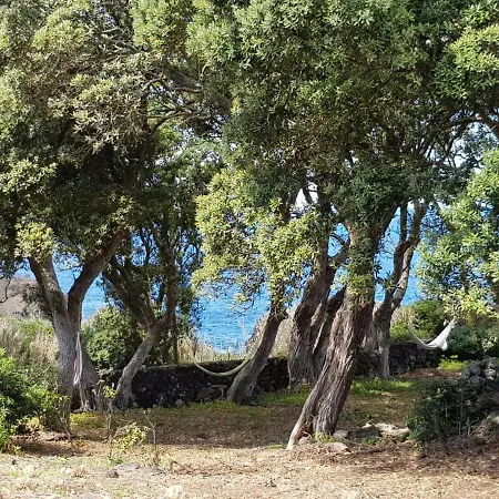 別荘 Quinta Da Falesia - Casa Amarela ポンタ・デルガダ