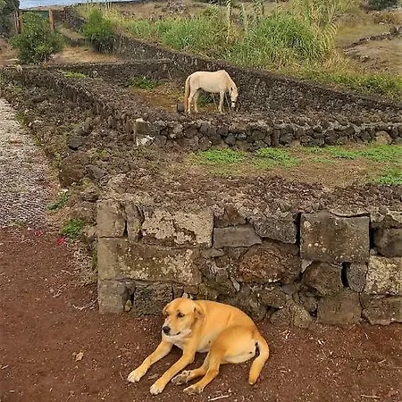 Quinta Da Falesia - Casa Amarela Feriehus Ponta Delgada