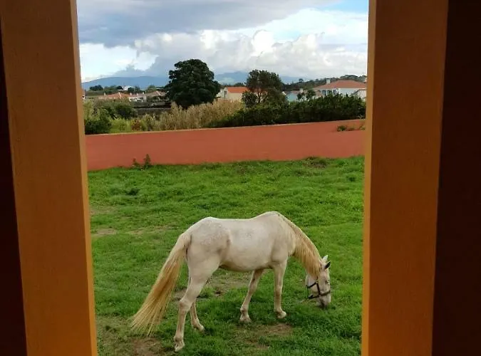 Quinta Da Falésia - Casa Amarela Сasa de vacaciones