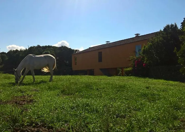 Quinta Da Falésia - Casa Amarela Сasa de vacaciones Ponta Delgada