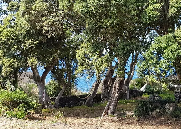 Сasa de vacaciones Quinta Da Falésia - Casa Amarela Ponta Delgada