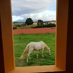 Quinta Da Falésia - Casa Amarela Сasa de vacaciones