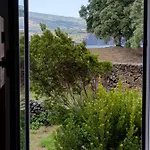 Quinta Da Falésia - Casa Amarela *