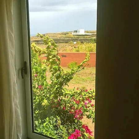 Quinta Da Falésia - Casa Amarela