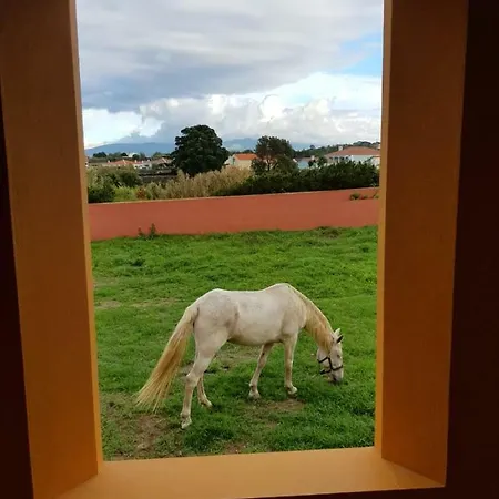 Quinta Da Falesia - Casa Amarela Дом отдыха