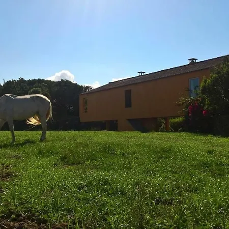 Quinta Da Falesia - Casa Amarela Holiday home Ponta Delgada (Sao Miguel)