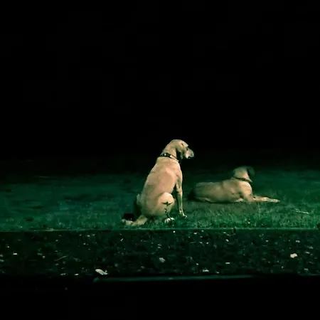 Quinta Da Falésia - Casa Amarela