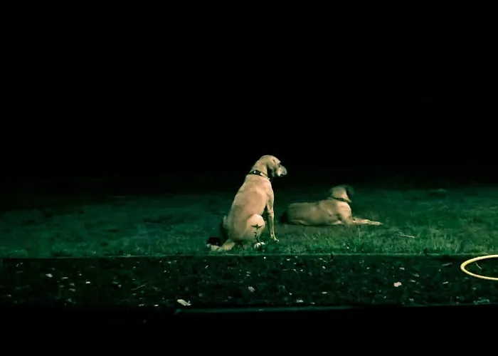 Quinta Da Falesia - Casa Amarela