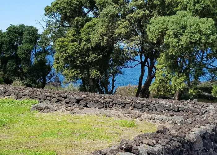 Quinta Da Falesia - Casa Amarela 펜션 *