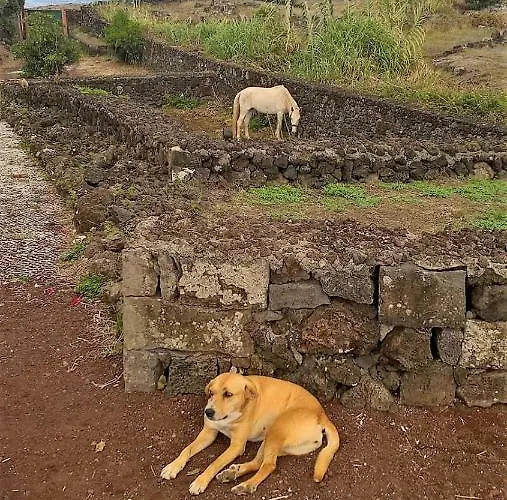 Quinta Da Falesia - Casa Amarela Holiday home Ponta Delgada (Sao Miguel)